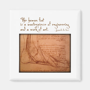 Da Vinci: "Är människafoten… ", Magnet