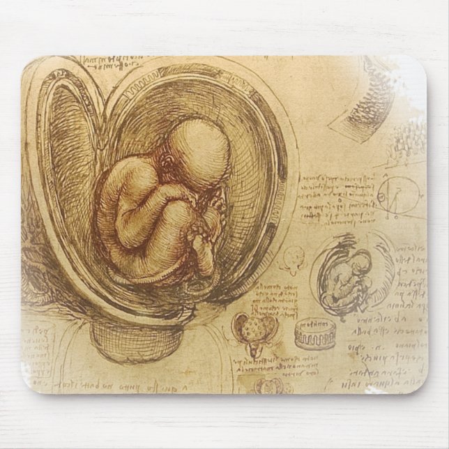 Da Vinci - embryot skissar Musmatta (Framsidan)
