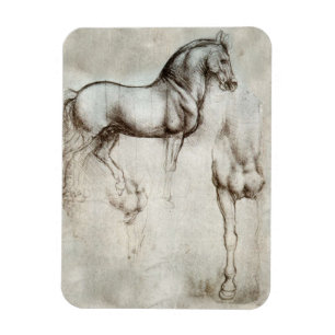 Da Vinci hästmagnet Magnet