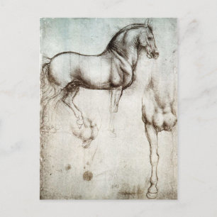 Da Vinci hästvykort Vykort