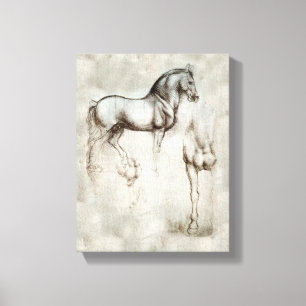 Da Vinci Horse Canvastryck