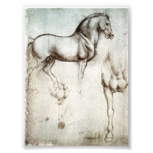 Da Vinci Horse Fototryck