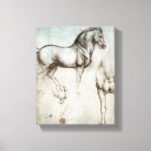 Da Vinci Horse Study Renaissance Sketch Fine Art Canvastryck