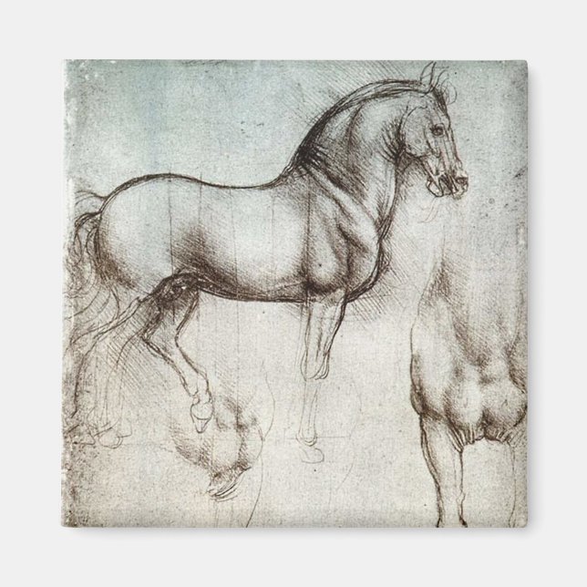 Da Vinci Horse Study Renaissance Sketch Fine Art Magnet (Framsidan)