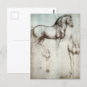 Da Vinci Horse Study Renaissance Sketch Fine Art Vykort