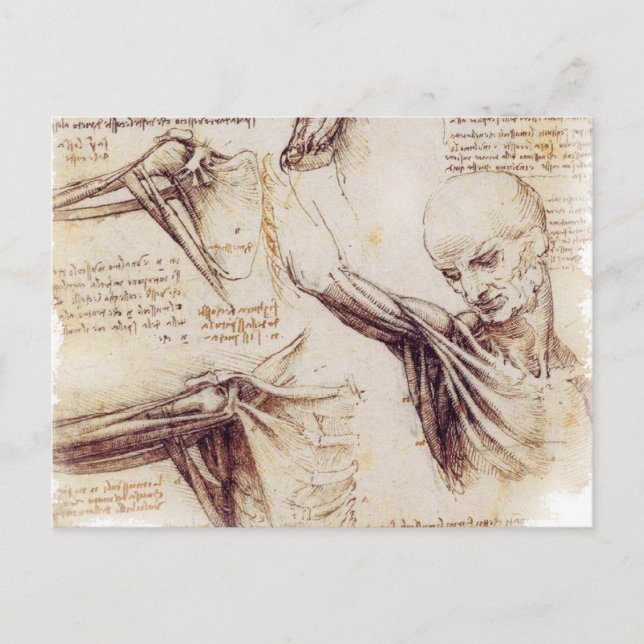 Da Vinci -- Knuffa skissar Vykort (Framsida)