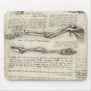Da Vinci Leonardo - studie av anatomi Musmatta