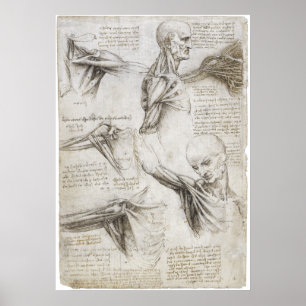 Da Vinci Leonardo - studie av anatomi Poster