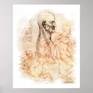 da Vinci - Man och Horse Poster