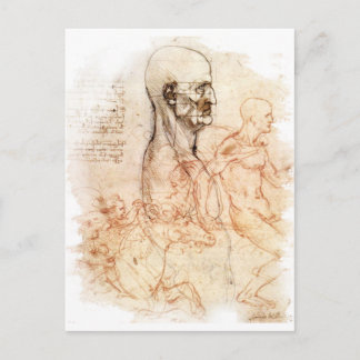 da Vinci - Man och Horse Sketch Vykort