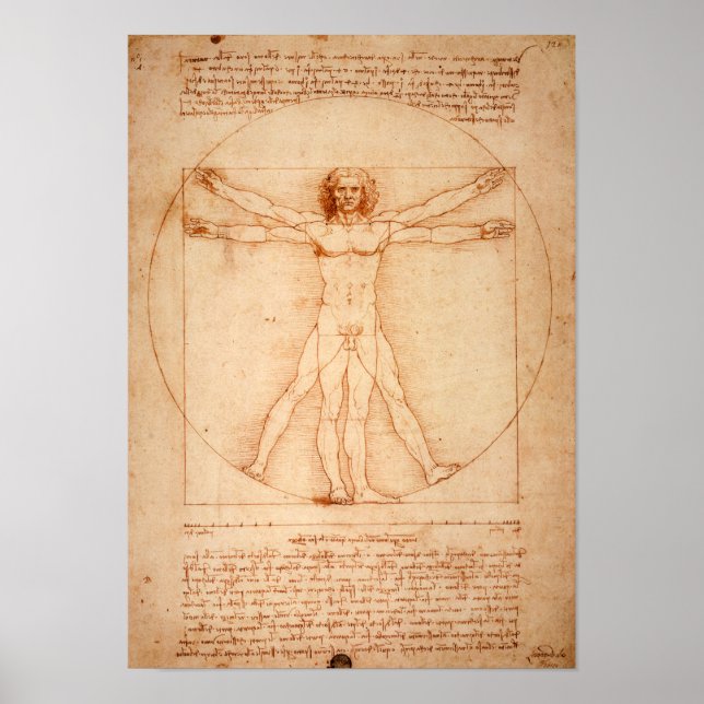 Da Vinci’s Vitruvian Man (1487) Poster (Framsidan)