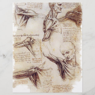 da Vinci - Shoulder Sketch Reklamblad