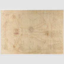 Da Vinci Vitruvian Man Decoupage Papprare