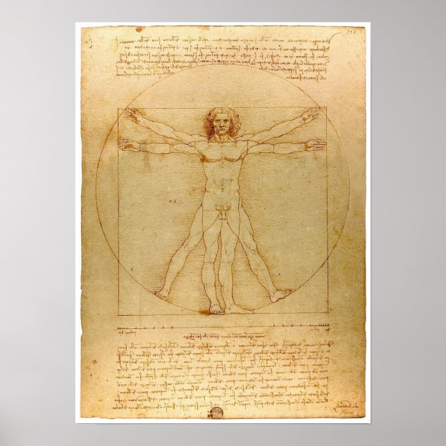 Da Vinci Vitruvian Man Poster (Framsidan)