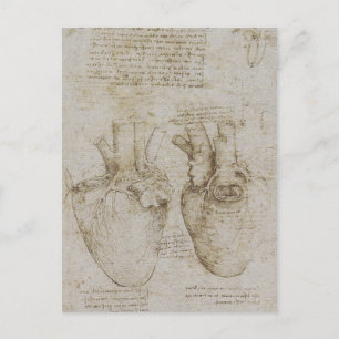 Da Vinci's Human Heart Anatomy Sketches Vykort