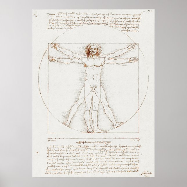 Da Vinci's Vitruvian Man Poster (Framsidan)