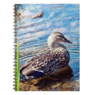 Dabbling Ripples Anteckningsbok Med Spiral