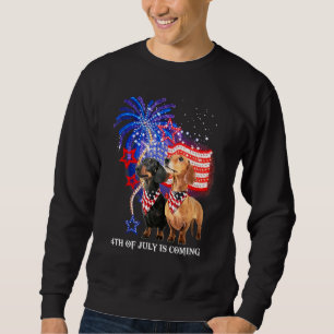 Dachshund 4:e juli kommer amerikanska Flagga Patr Lång Ärmad Tröja