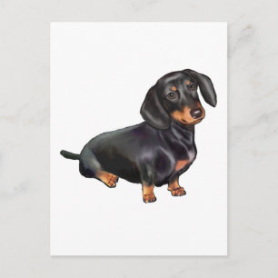 Dachshund (A) - Black and Tan Vykort