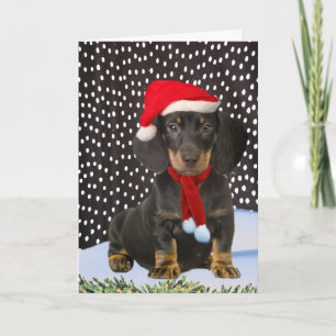 Dachshund A Snö Day-julkort Helgkort