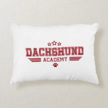DACHSHUND ACADEMY STJÄRNOR RD/WH