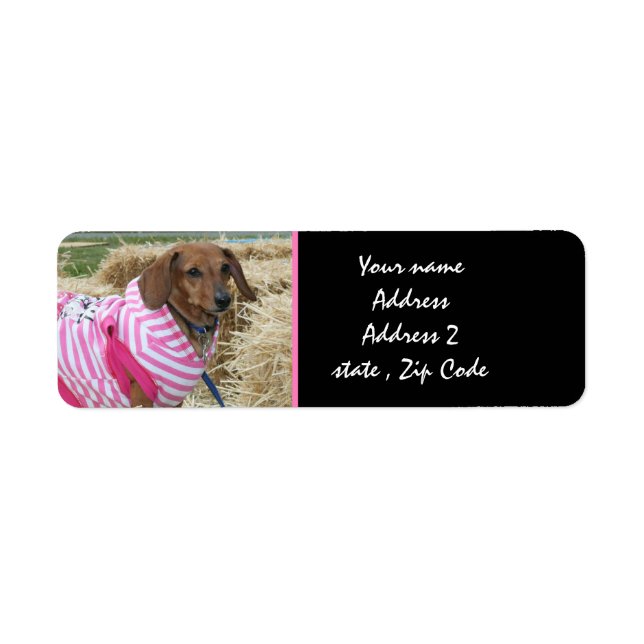Dachshund Adressetiketters Returadress Etikett (Framsidan)