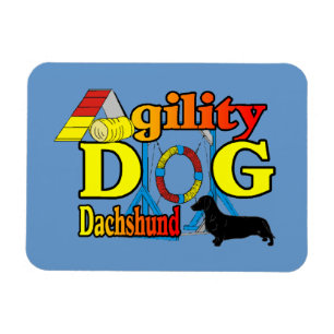 Dachshund_Agilitet Magnet