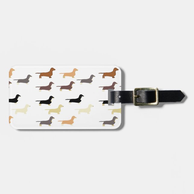 Dachshund alla färger silos bagagebricka (Horisontell Framsida)