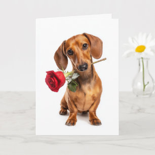 Dachshund Alla hjärtans dag Puppy kärlek med en ro Kort