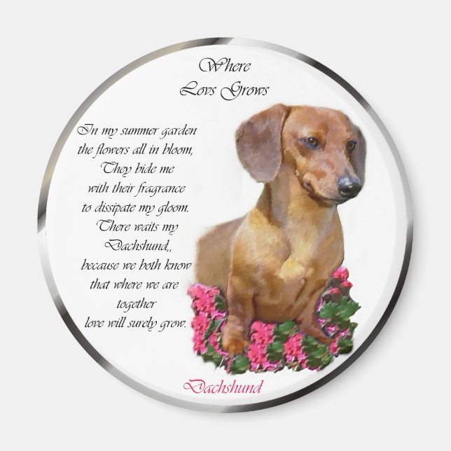 Dachshund Älskare Doxie Magnet (Framsidan)