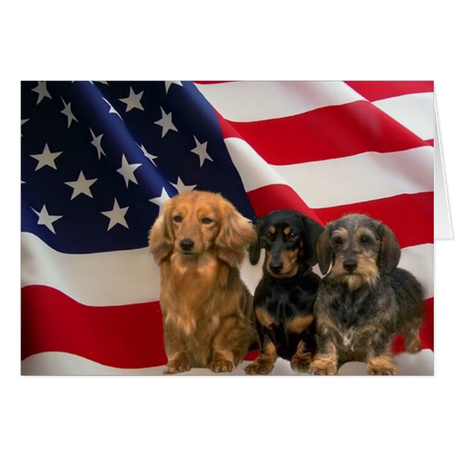 Dachshund America Card Hälsningskort (Framsidan Horizontal)