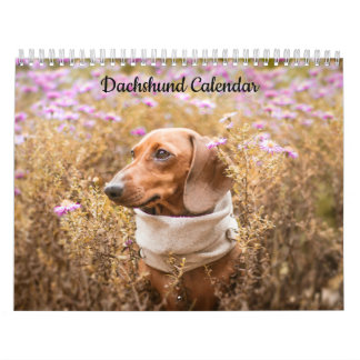 Dachshund-Anpassningsbarnas årskalender Kalender