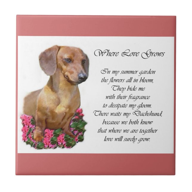 Dachshund Art Gifts Kakelplatta (Framsidan)