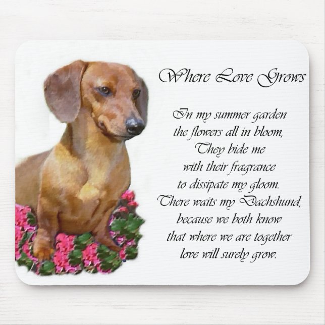 Dachshund Art Gifts Musmatta (Framsidan)