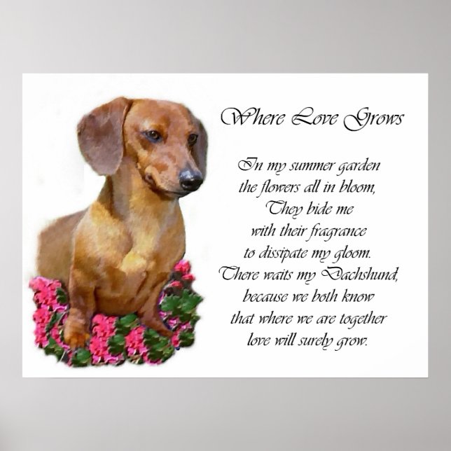 Dachshund Art Prints Poster (Framsidan)