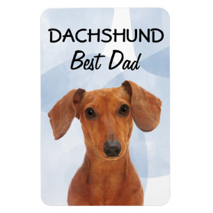 Dachshund Best Pappa Magnet