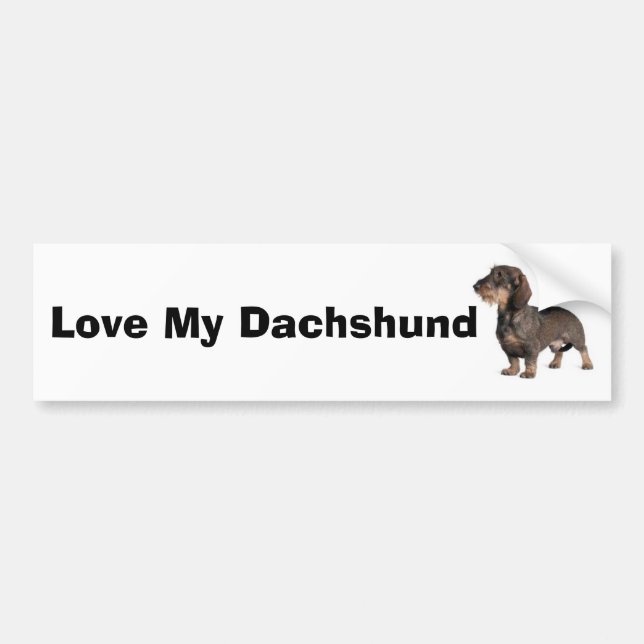 Dachshund Bildekal (Framsidan)