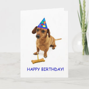 Dachshund Birthday Card av Focus för en orsak Kort