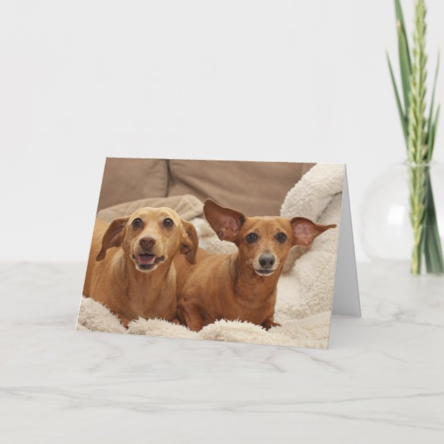 Dachshund Birthday Card av Focus för en orsak Kort (Framsida)