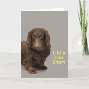 Dachshund Birthday Card Kort