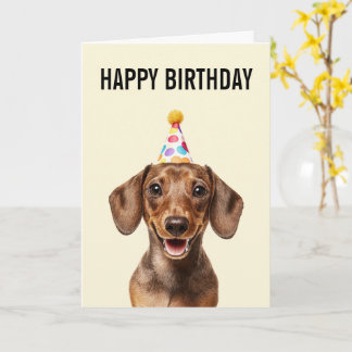 Dachshund Birthday Celebration Kort