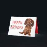 Dachshund Birthday Funny Wiener Hund Dashie Bday Kort<br><div class="desc">Ringer upp allt älskare! Det här förtjusande och roliga jaktkortet för hund är perfekt för doxie mammor, dashound pappor och korv fläkt. Oavsett om du kärlek är ett fånig, en gammal gofboll eller en liten, feg valp, så kommer det här söta och lycklig-kortet att få alla dachshund älskare att le....</div>