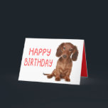 Dachshund Birthday Funny Wiener Hund Dashie Bday Kort<br><div class="desc">Ringer upp allt älskare! Det här förtjusande och roliga jaktkortet för hund är perfekt för doxie mammor, dashound pappor och korv fläkt. Oavsett om du kärlek är ett fånig, en gammal gofboll eller en liten, feg valp, så kommer det här söta och lycklig-kortet att få alla dachshund älskare att le....</div>