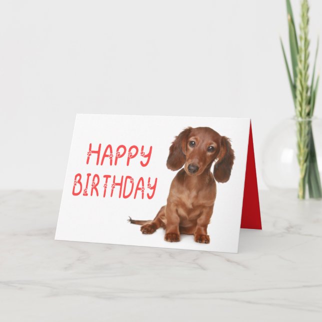 Dachshund Birthday Funny Wiener Hund Dashie Bday Kort (Framsida)