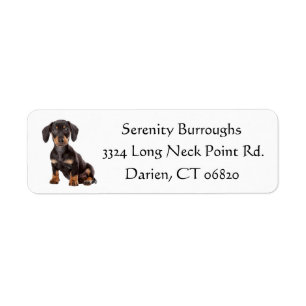 Dachshund Black and Brown Puppy Hund Returadress Etikett