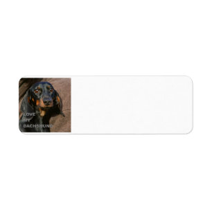 Dachshund-black och tan kärlek w pic returadress etikett