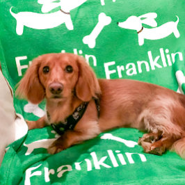 Dachshund Blanket Personlig Wiener Hund Gift Fleecefilt