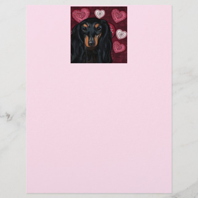 DACHSHUND            BREVHUVUD (Framsida)