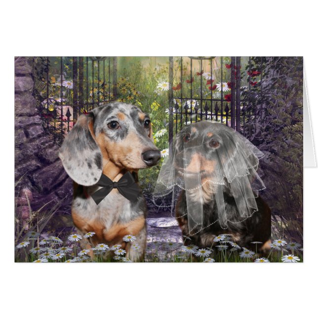 Dachshund bride and groom hälsningskort (Framsidan Horizontal)