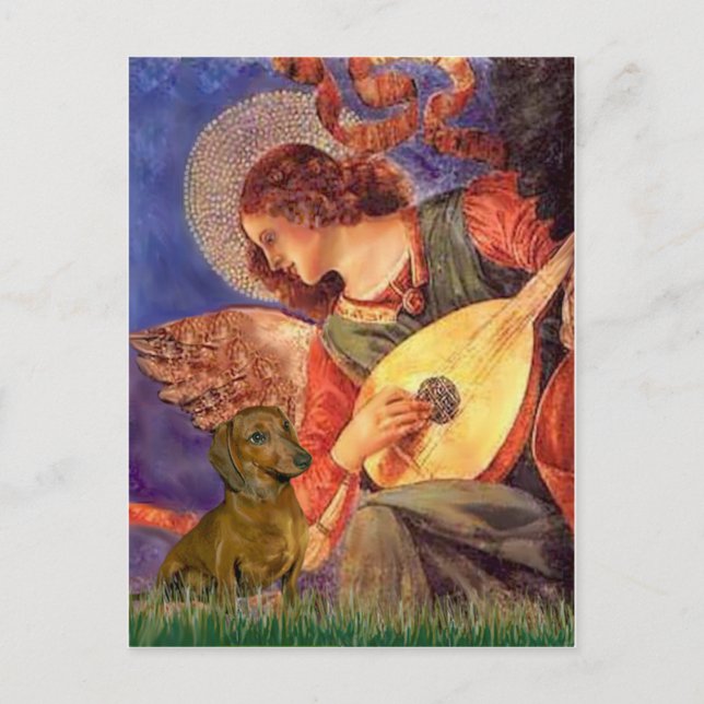 Dachshund (brun1) - Mandolin Angel Vykort (Framsida)